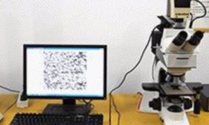 Wear plate manufacturing process with welding overlay technology