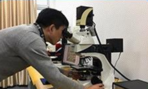 Wear plate manufacturing process with welding overlay technology